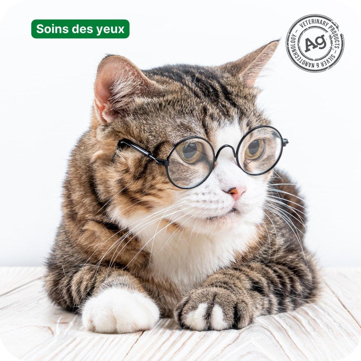 Comment prendre soin des yeux d'un animal de compagnie ?