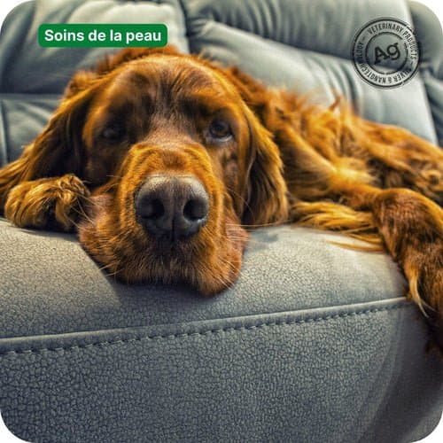 Quand utiliser le gel pour les plaies et quand utiliser la crème ?