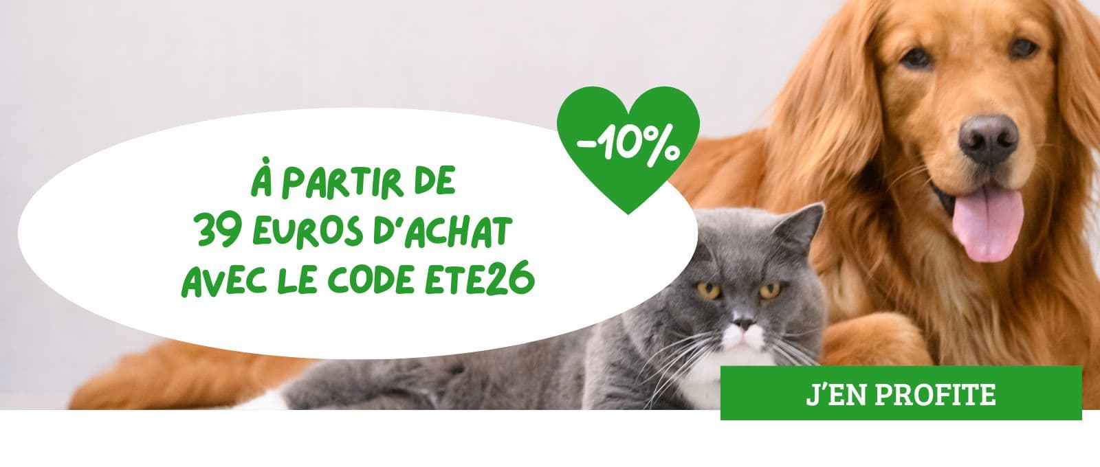 ETE26