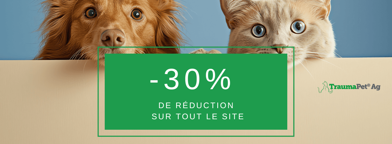 Rentrée