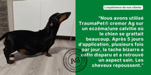 Charger l&#39;image dans la galerie, Creme pour chien, TraumaPet® Cremor Ag - TraumaPet France
