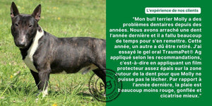 Gel oral pour chien, TraumaPet® Oral Gel Ag - TraumaPet France