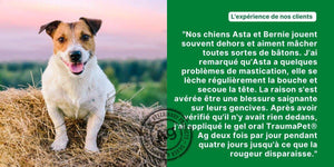 Gel oral pour chien, TraumaPet® Oral Gel Ag - TraumaPet France