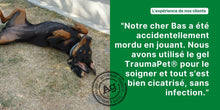 Charger l&#39;image dans la galerie, Gel pour plaies chien, TraumaPet® Gel Ag - TraumaPet France
