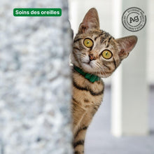 Charger l&#39;image dans la gallerie, Goutte oreilles chat, TraumaPet® Oto Ag - TraumaPet France
