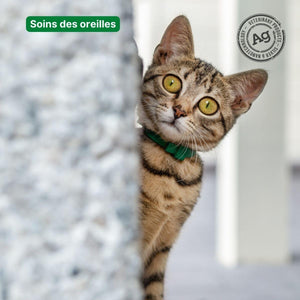 Goutte oreilles chat, TraumaPet® Oto Ag - TraumaPet France