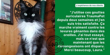 Charger l&#39;image dans la gallerie, Goutte oreilles chat, TraumaPet® Oto Ag - TraumaPet France
